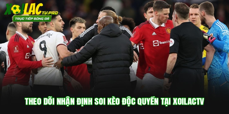 Theo dõi nhận định soi kèo độc quyền tại Xoilactv
