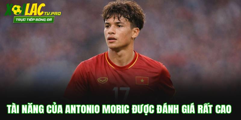 Tài năng của Antonio Moric được đánh giá rất cao