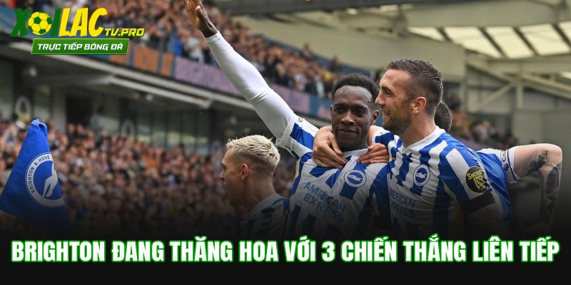 Brighton đang thăng hoa với 3 chiến thắng liên tiếp